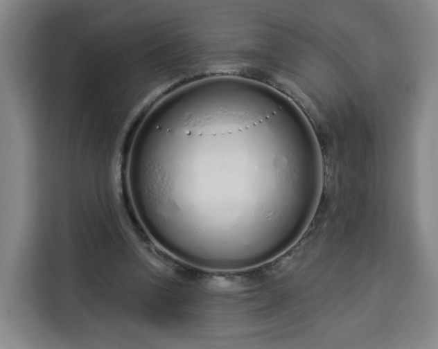 X0000113530346200910021334