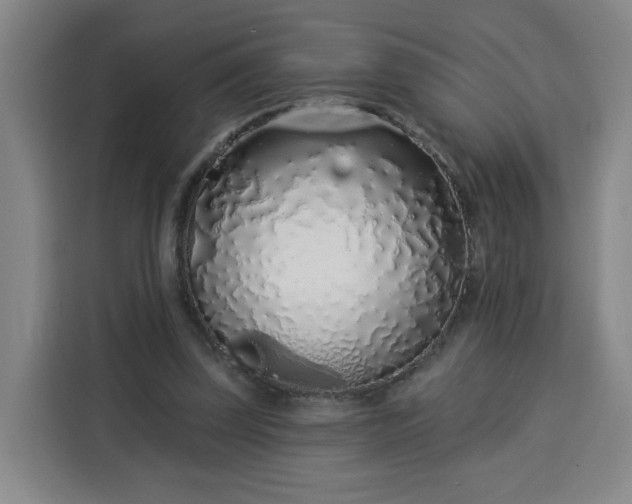 X0000113530347200910021334