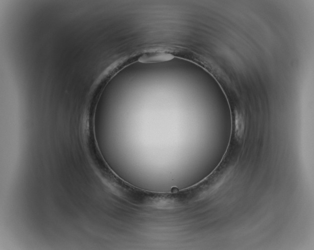 X0000113530348200910021334