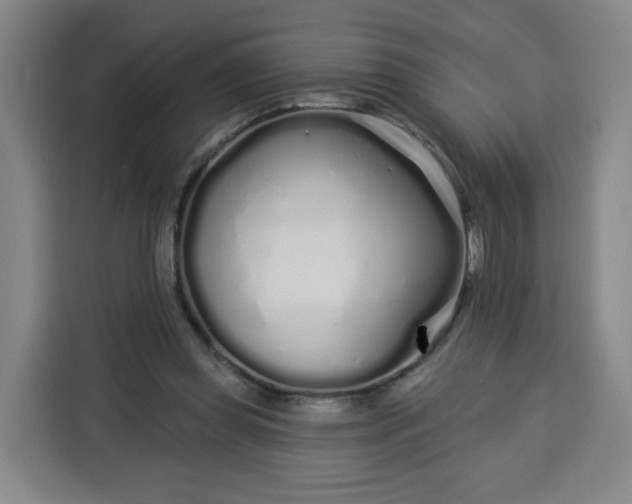 X0000113530349200910021334