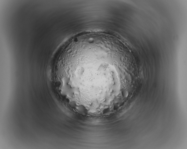 X0000113530351200910021334