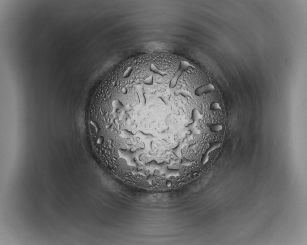 X0000113530353200910021334