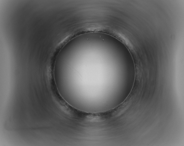 X0000113530354200910021334