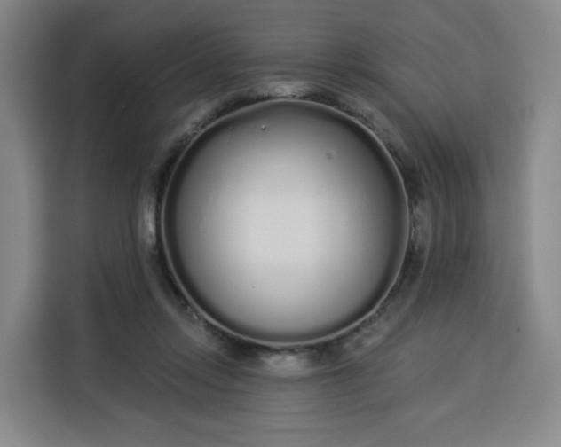 X0000113530358200910021334