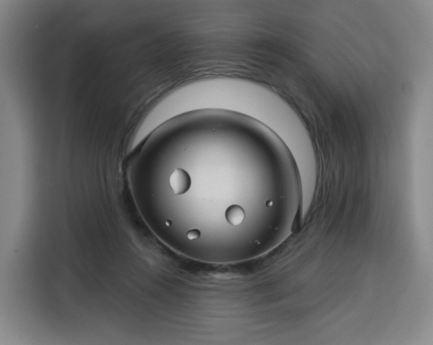 X0000113530360200910021334