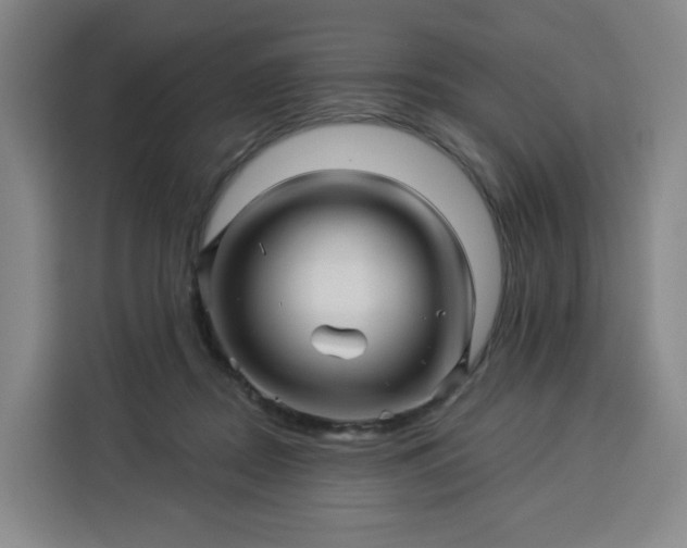 X0000113530362200910021334