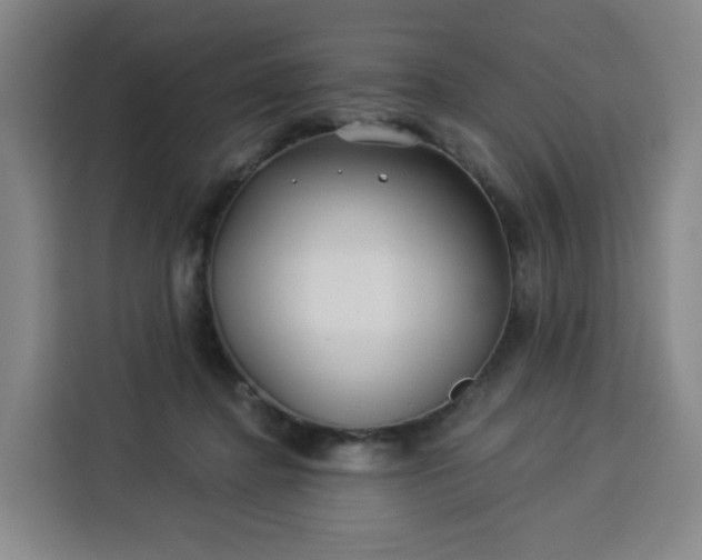 X0000113530364200910021334