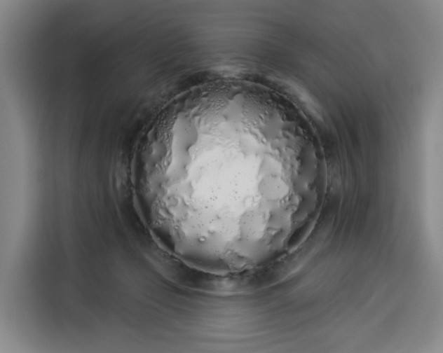 X0000113530365200910021334