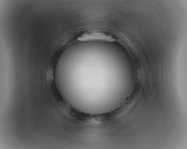 X0000113530368200910021334