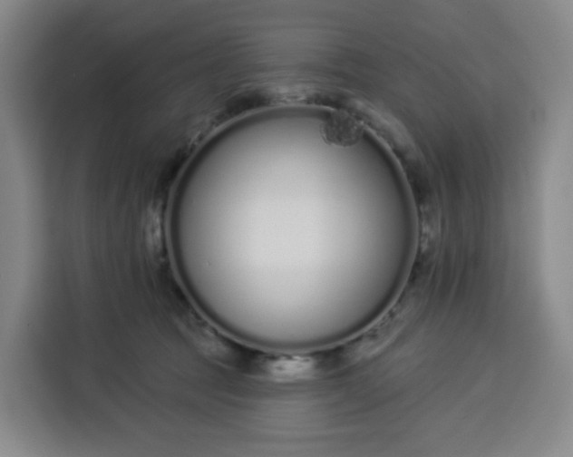 X0000113530369200910021334