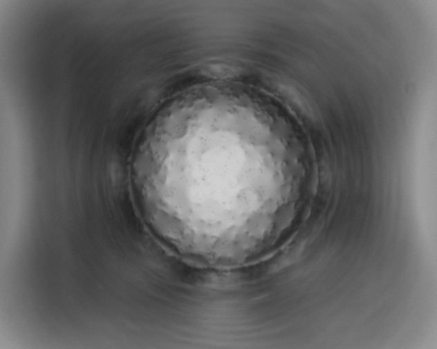 X0000113530371200910021334