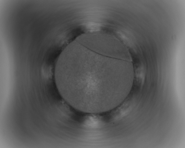 X0000113530372200910021334