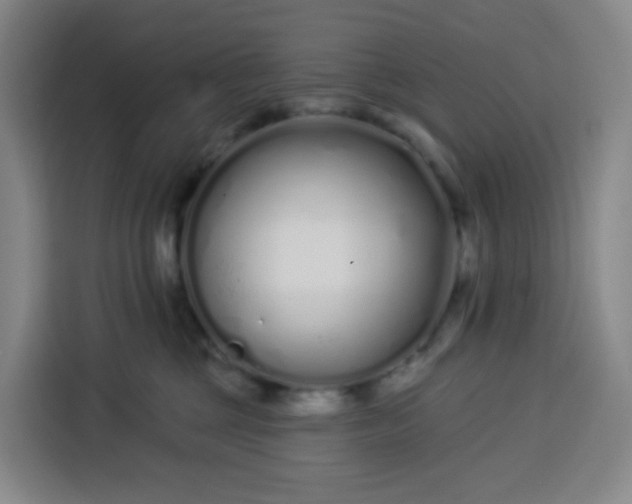 X0000113530377200910021334