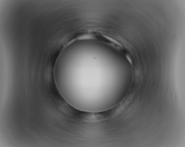 X0000113530379200910021334