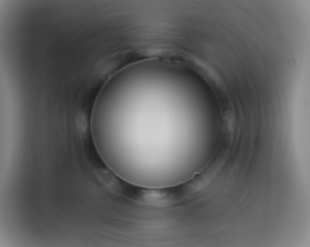 X0000113530380200910021334