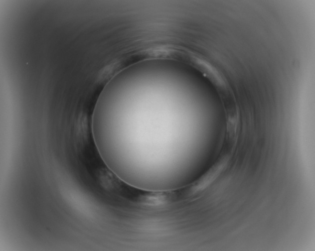 X0000113530381200910021334