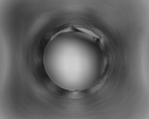 X0000113530382200910021334