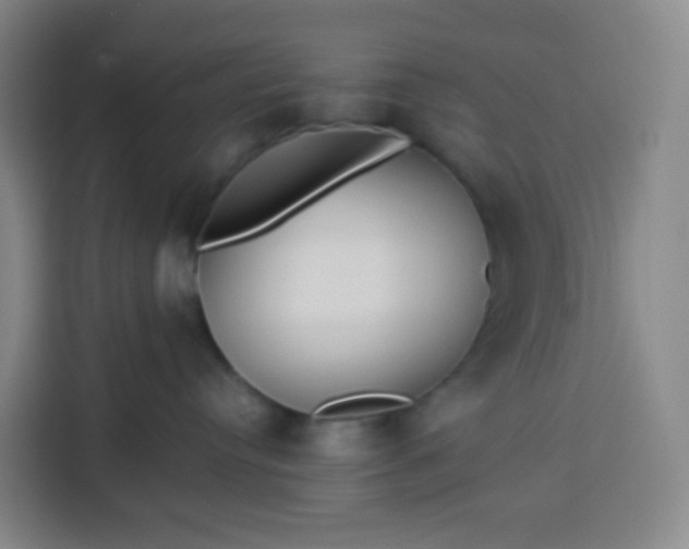 X0000113530384200910021334