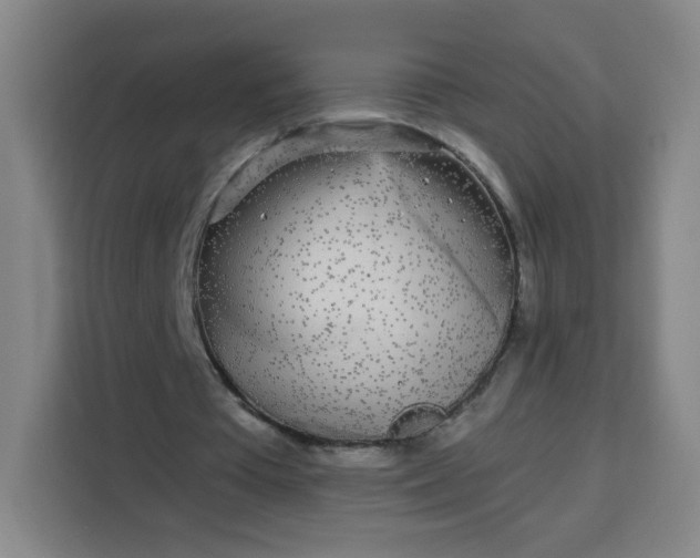 X0000113530385200910021334