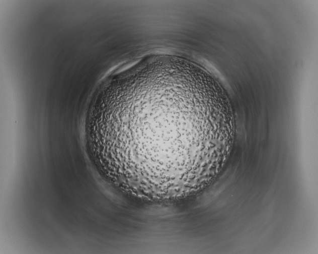 X0000113530386200910021334