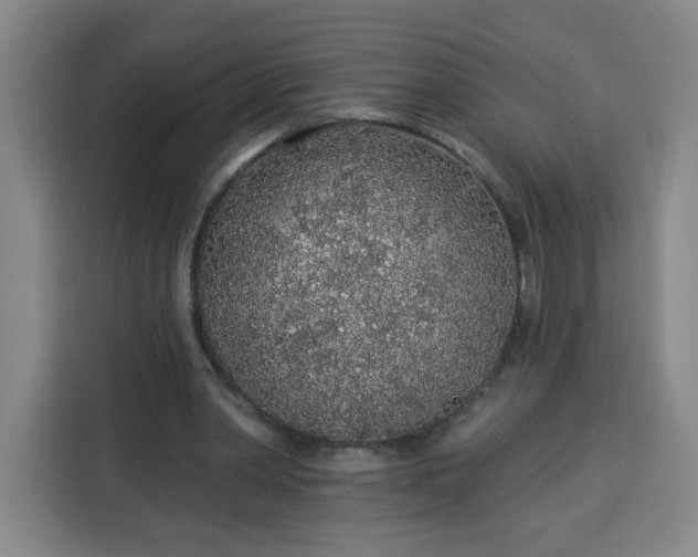 X0000113530390200910021334