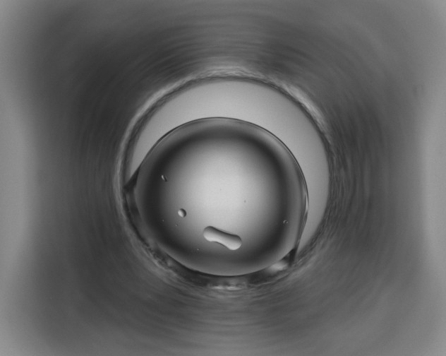 X0000113530391200910021334