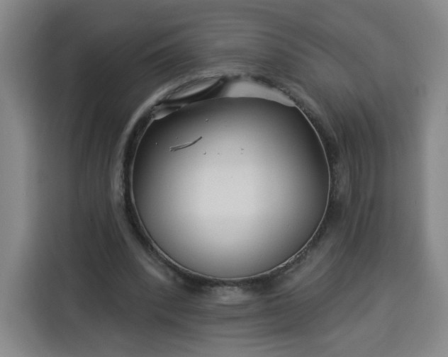 X0000113530392200910021334