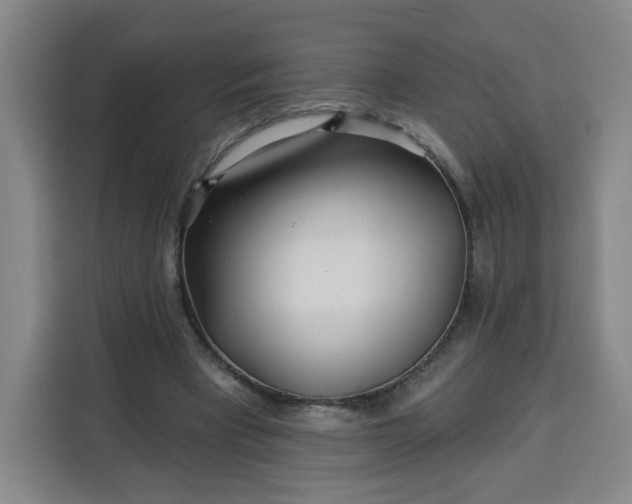 X0000113530393200910021334