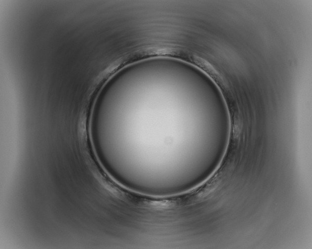 X0000113530394200910021334