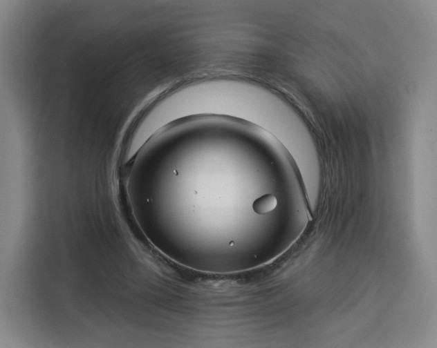 X0000113530395200910021334