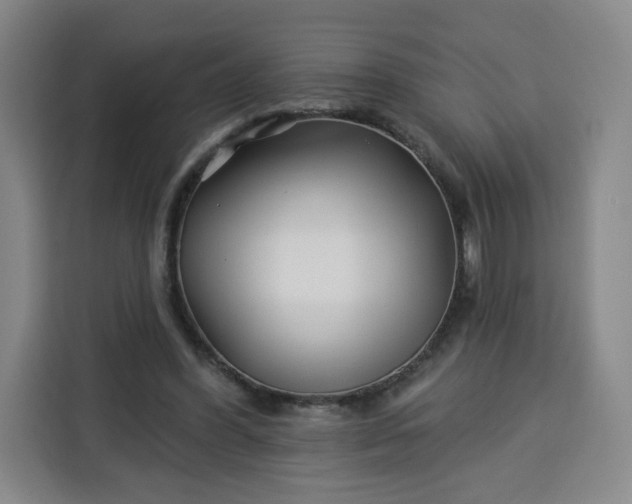 X0000113530396200910021333