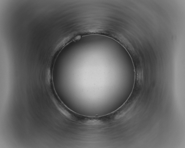 X0000113530397200910021333