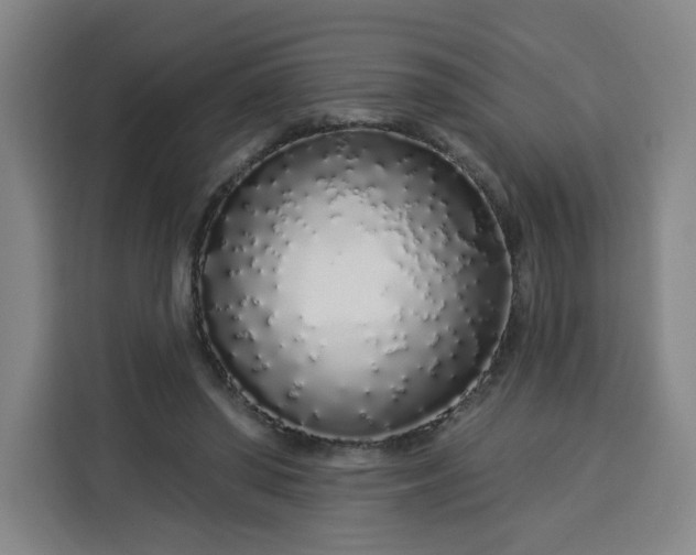 X0000113530398200910021333