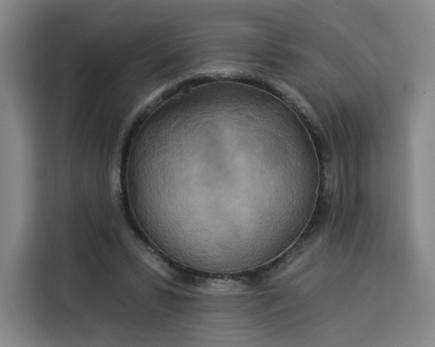 X0000113530399200910021333