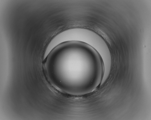 X0000113530401200910021333