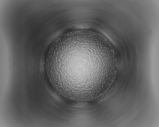 X0000113530402200910021333