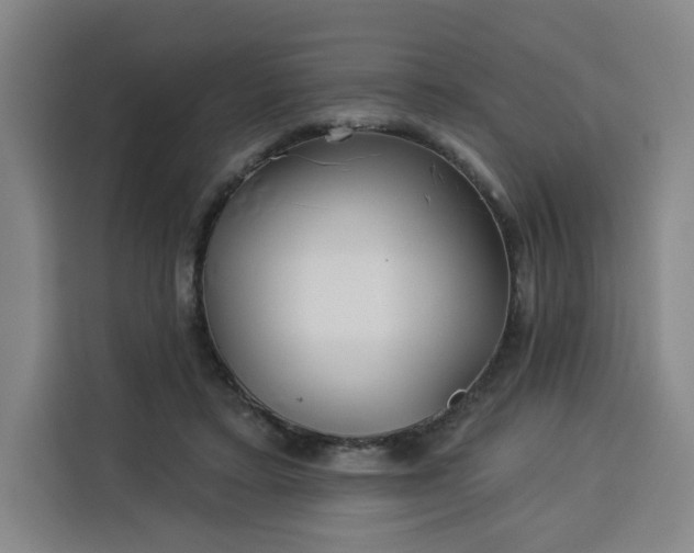 X0000113530403200910021333