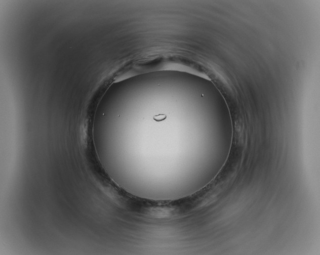 X0000113530404200910021333