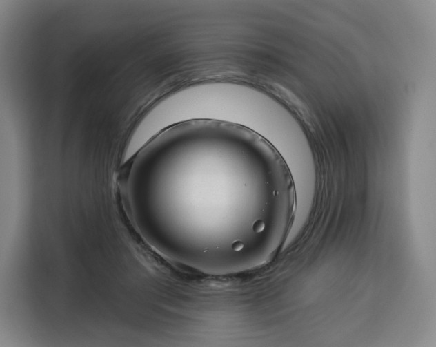 X0000113530405200910021333