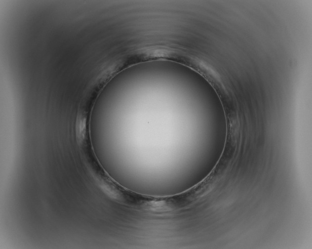 X0000113530406200910021333