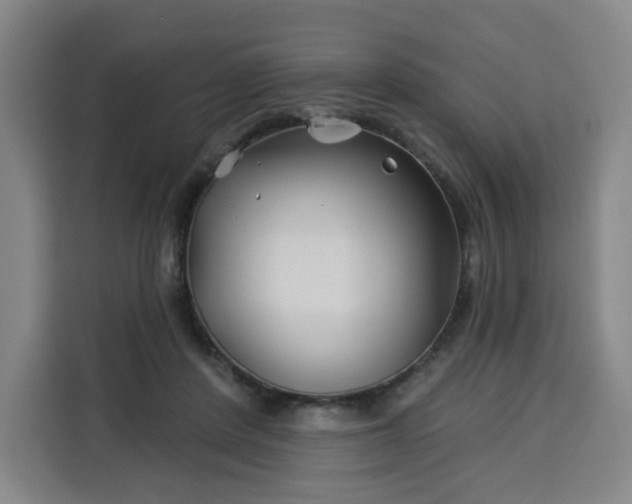 X0000113530408200910021333