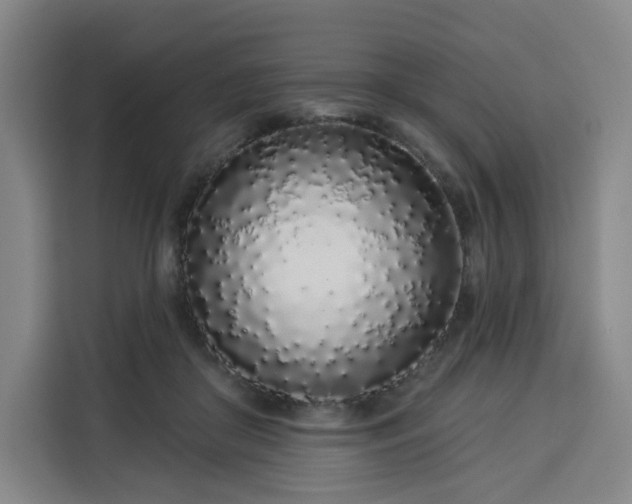 X0000113530410200910021333