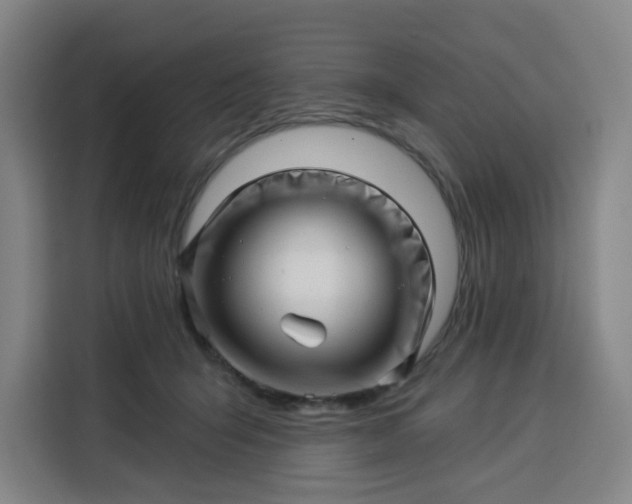 X0000113530415200910021333