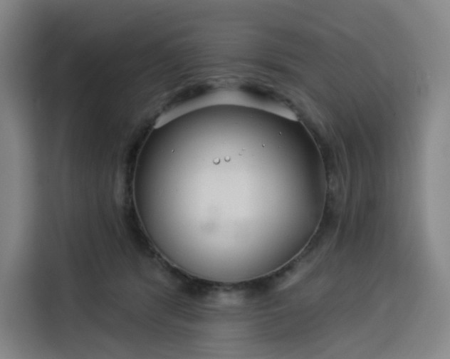 X0000113530416200910021333