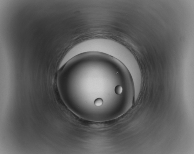 X0000113530417200910021333