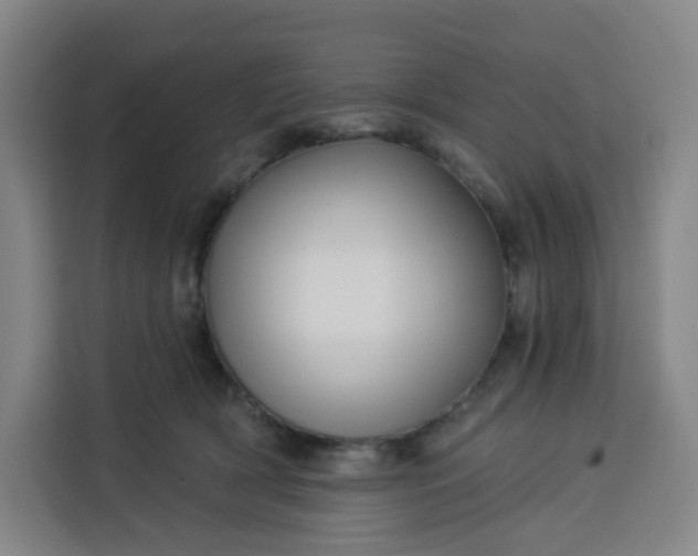 X0000113530418200910021333