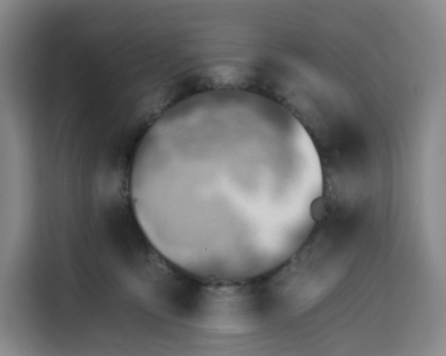 X0000113530419200910021333