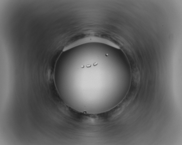 X0000113530420200910021333