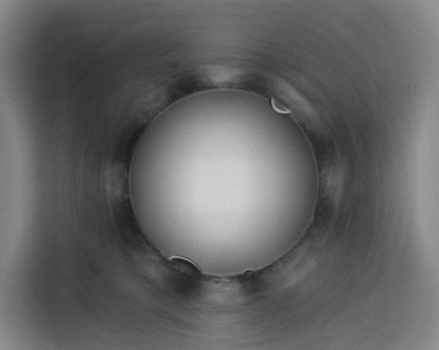 X0000113530421200910021333