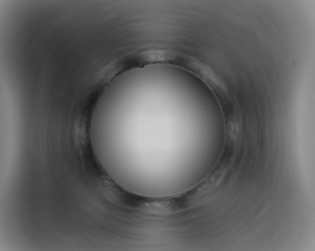 X0000113530422200910021333